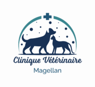 Clinique Vétérinaire Magellan