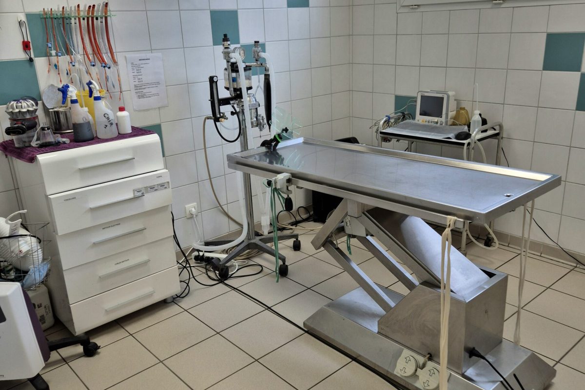 chirurgie chirurgie